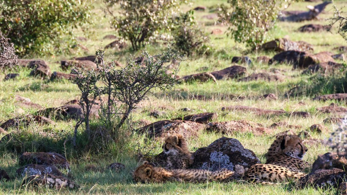 Les 12 meilleurs sites touristiques à visiter au Kenya