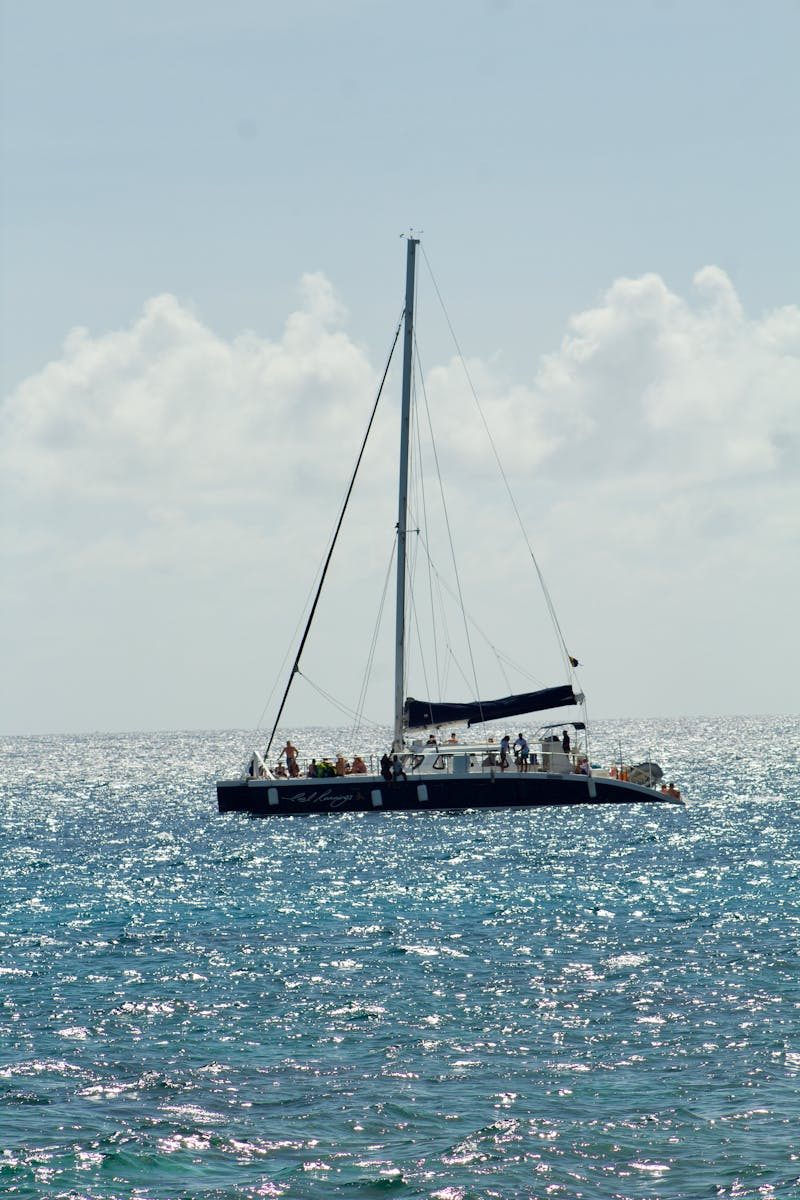 Un catamaran navigue sur l'océan scintillant sous un ciel ensoleillé, futur skipper, l'aventure vous attend avec une formation en mer.