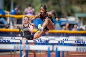 Les stratégies sport et nutrition que tous les passionnés devraient connaître